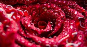 投稿についてもっと詳しく Lorem ipsum dolor sit amet consectetur