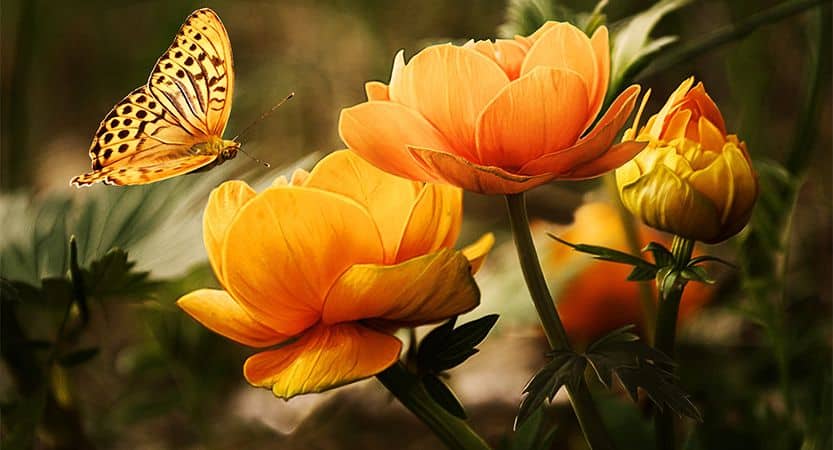 投稿についてもっと詳しく Quis ligula lacinia aliquet mauris ipsum